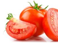 Бизнес на выращивание помидоров в теплице